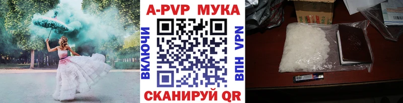 Alfa_PVP крисы CK  кракен   Анива 