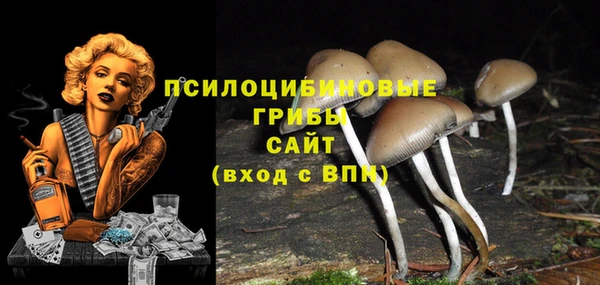прущая мука Алзамай