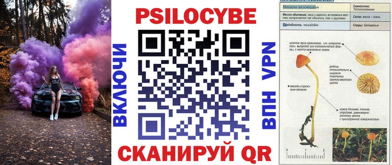 MEGA вход  это как зайти  Анива  Галлюциногенные грибы Cubensis  даркнет сайт 